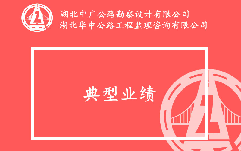 公司典型业绩