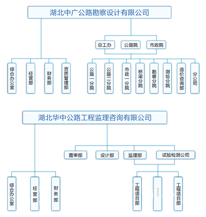 组织结构(图1)